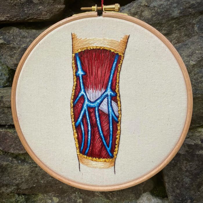 Hago modelos bordados muy meticulosos de la anatomía humana y animal