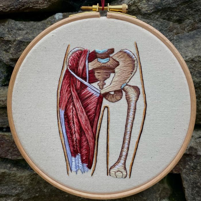 Hago modelos bordados muy meticulosos de la anatomía humana y animal
