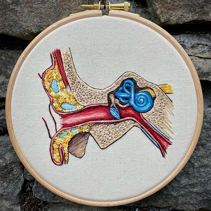 Hago modelos bordados muy meticulosos de la anatomía humana y animal