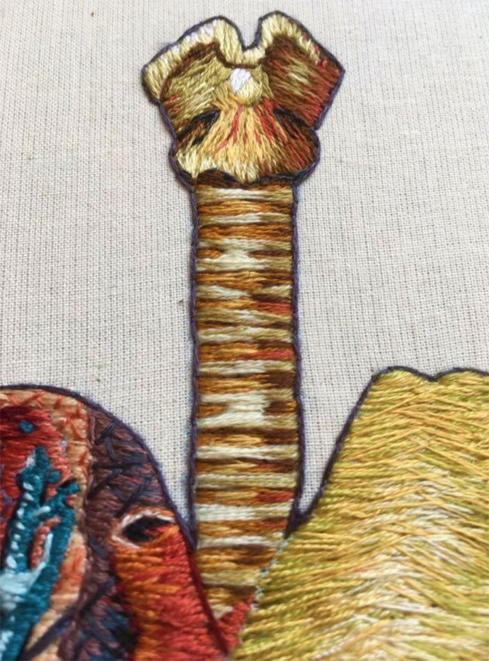 Hago modelos bordados muy meticulosos de la anatomía humana y animal