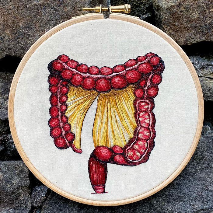 Hago modelos bordados muy meticulosos de la anatomía humana y animal