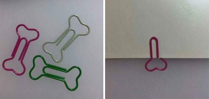 Pensé que sería una buena idea comprar 5000 clips con “forma de hueso” para nuestra clínica veterinaria