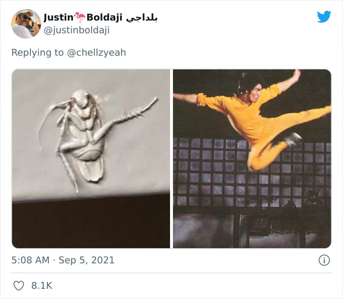Texas Woman Shares How Her Landlord Painted Over A Roach And The Internet Responds With These 30 Memes And Jokes