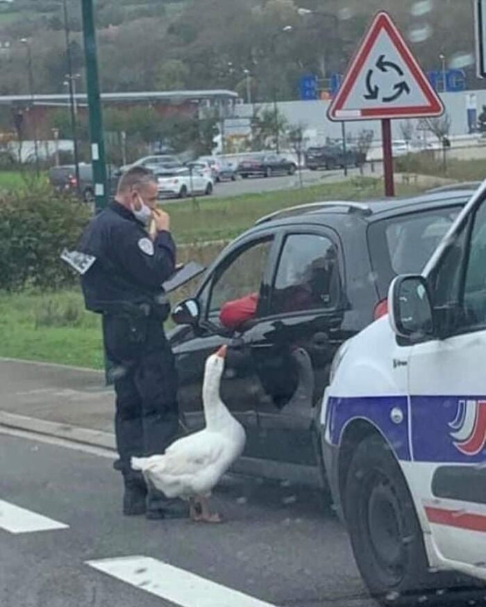This Facebook Page Is All About Animal Images That Need To Be Seen (50 New Pics)