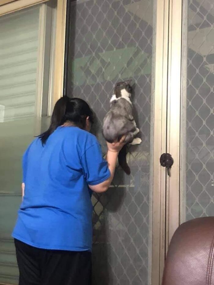 This Facebook Page Is All About Animal Images That Need To Be Seen (50 New Pics)