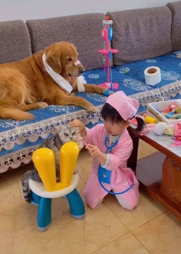 This Facebook Page Is All About Animal Images That Need To Be Seen (50 New Pics)