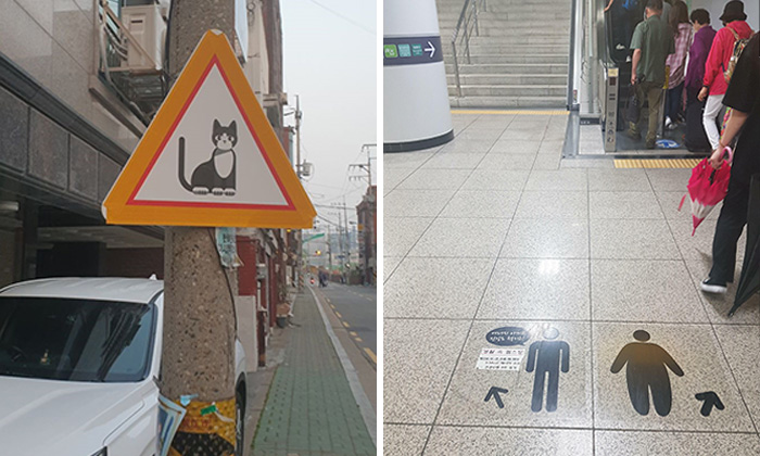 Corea del Sur es un mundo completamente diferente, y estas 40 fotos te lo demuestran