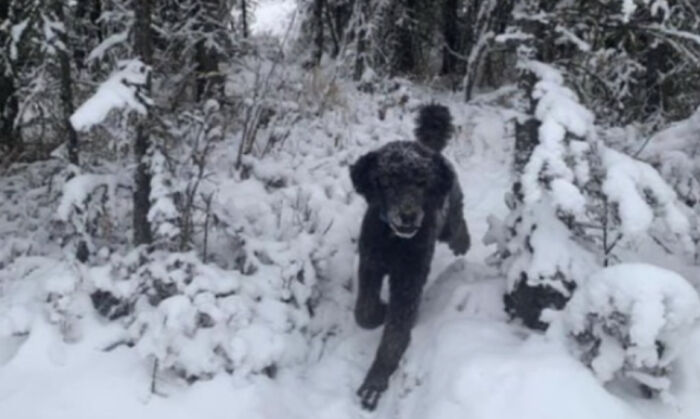Persona corriendo por la nieve