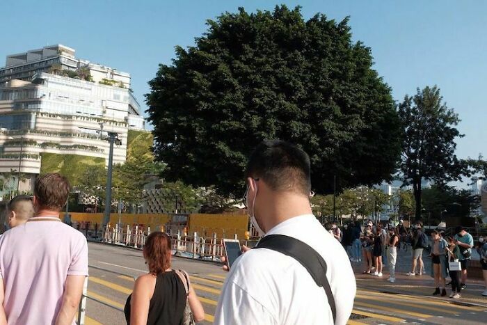 Peinado afro enorme