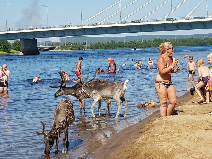 Ola de calor en Rovaniemi, Finlandia