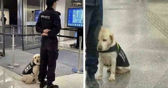 Su primer día en el trabajo