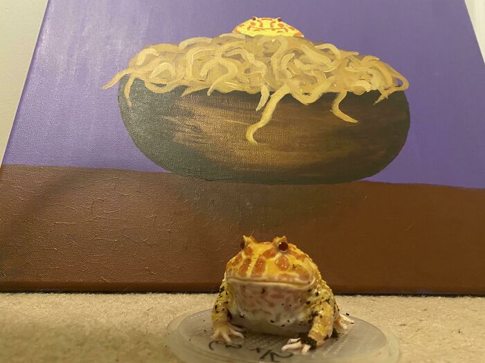 He pintado a Meatball encima de un cuenco de espaguetis. Creo que le gusta