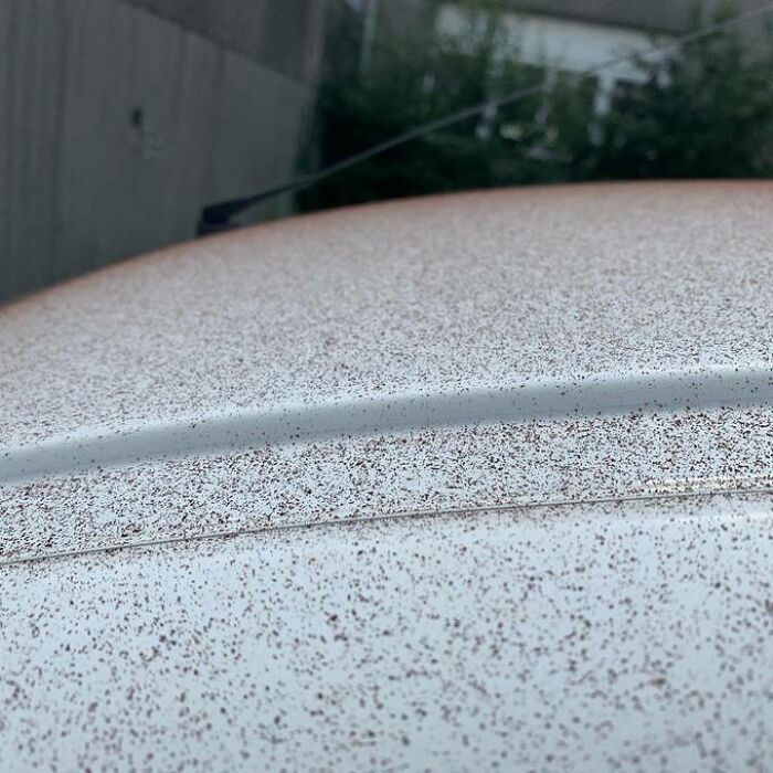 14 de agosto de 2020: nieva chocolate en una ciudad de Suiza por un fallo en una fábrica de chocolate