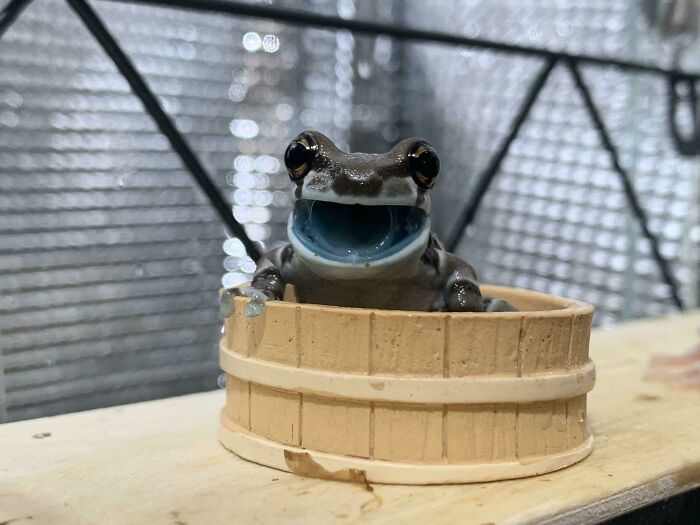 Sonrisa adorable