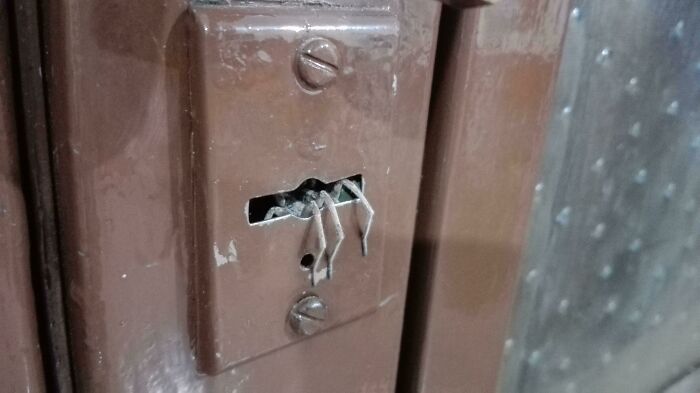 Fui a cerrar la puerta trasera. Había un visitante