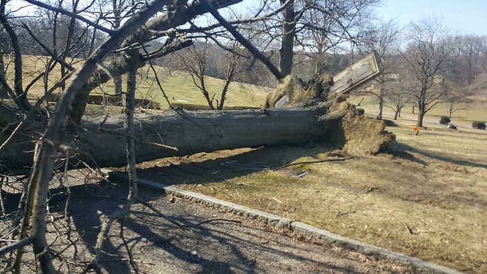 El otro día hizo tanto viento que levantó a los muertos