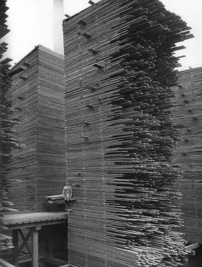 Una montaña de madera. Todo apilado y desapilado a mano