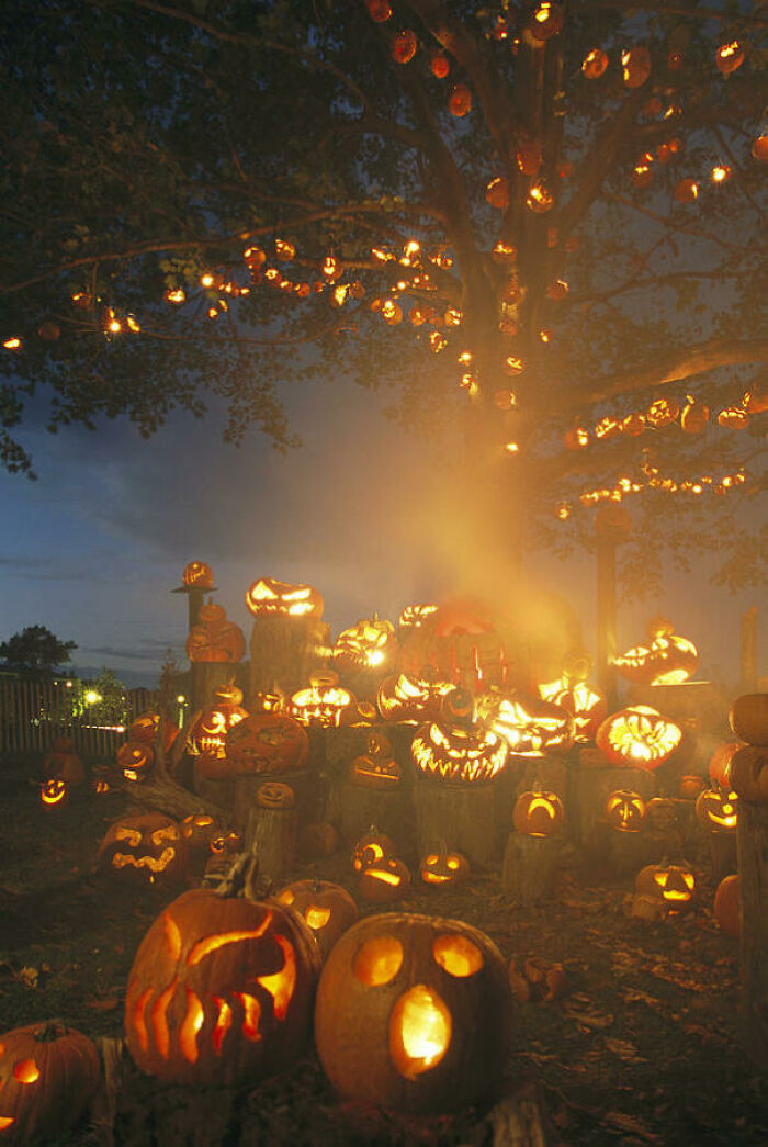 Árbol lleno de calabazas de Halloween