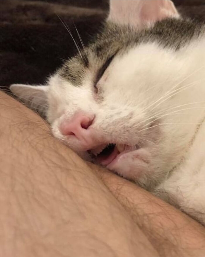 Durmiendo