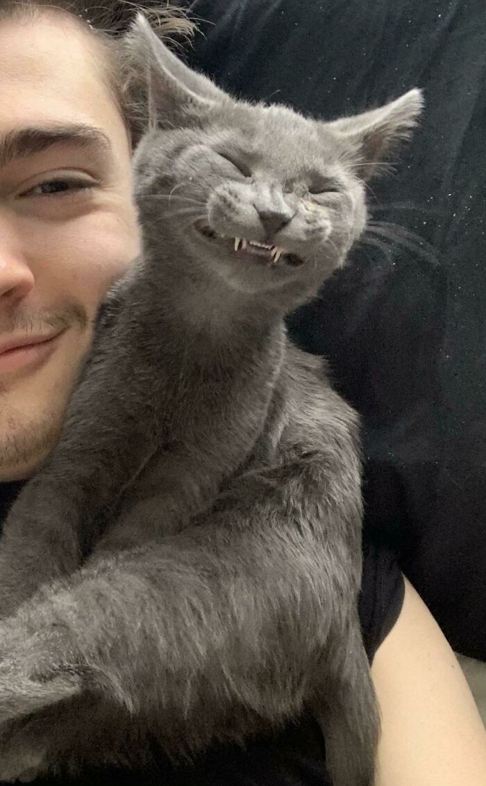 Me dijeron que compartiera una foto de mi gatito