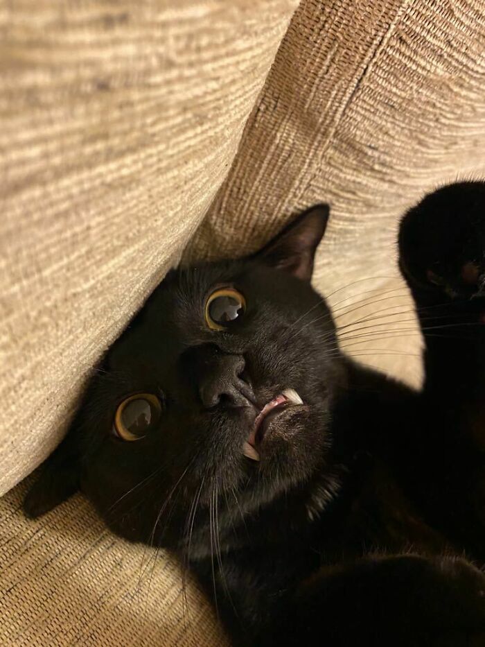 Mi batigato