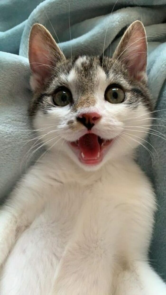 ¡Hola!