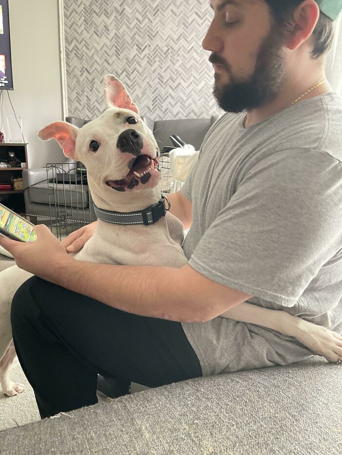 ¡Adoptamos a Nala!