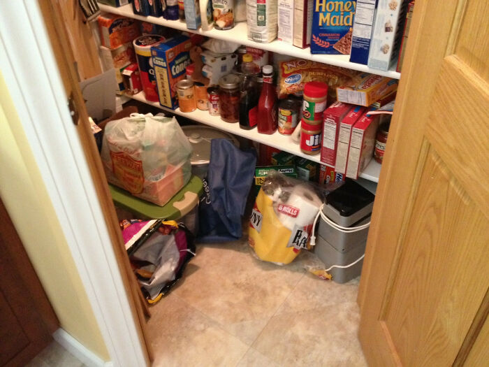 Cat Owners Share The Weirdest Places Their Cats End Up In (50 Pics)