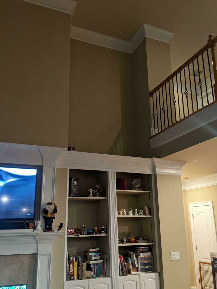 Cat Owners Share The Weirdest Places Their Cats End Up In (50 Pics)
