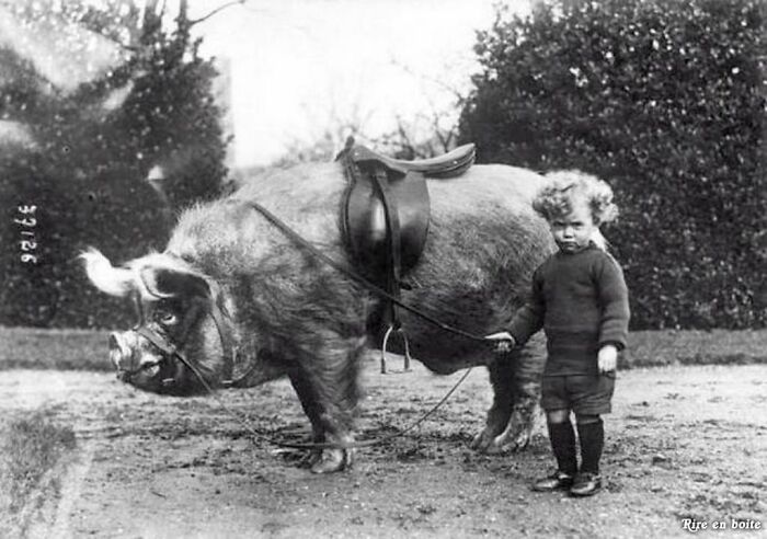 Niño con su jabalí de mascota, 1930 aprox.