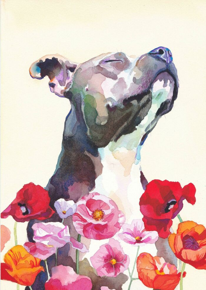 Pinté con acuarelas un retrato de un pitbull disfrutando del sol