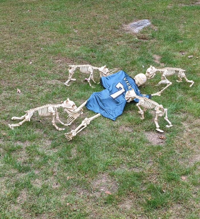Adiós, Mike Vick