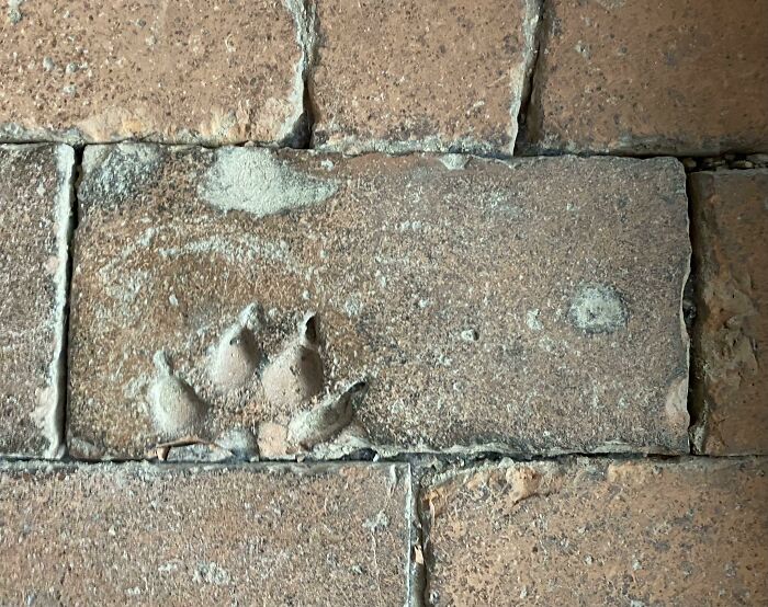 Baldosa de hace 900 años en la Catedral de Gloucester con la huella de un buen chico