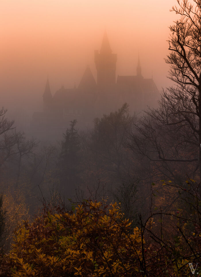 Se necesitó un viaje épico de 4 horas antes de llegar a un castillo nebuloso, Wernigerode, justo antes del amanecer