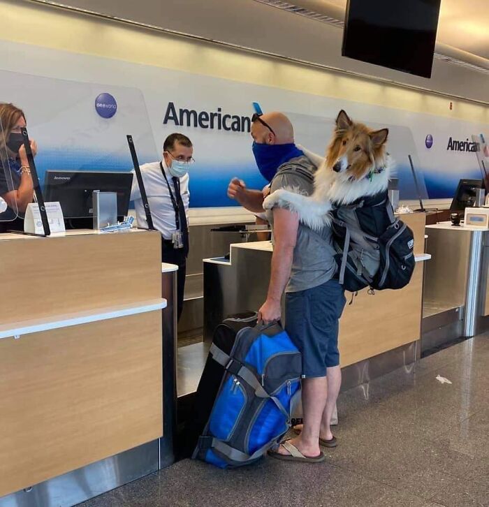This Facebook Page Is All About Animal Images That Need To Be Seen (50 New Pics)