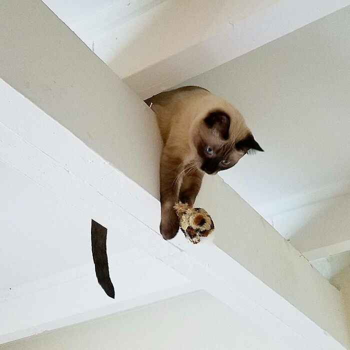 Pasando el rato