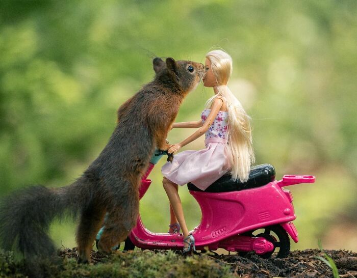 I’ve Spent 5 Years Capturing Perfectly Timed Action Shots Of Animals In Nature (35 Pics)