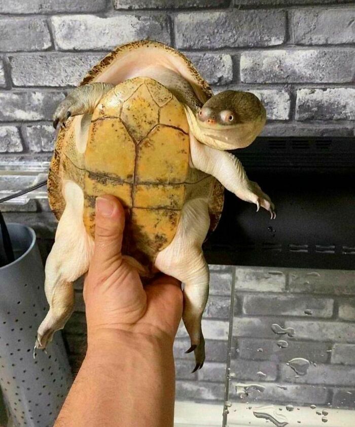 "I Want To Leave" Is Pretty Much The Weirdest Instagram Account, And Here Are 50 Pictures To Prove It