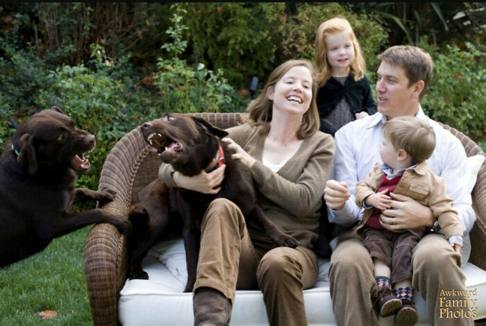 Intentamos conseguir una foto familiar que incluyera a nuestros dos simpáticos labradores chocolate