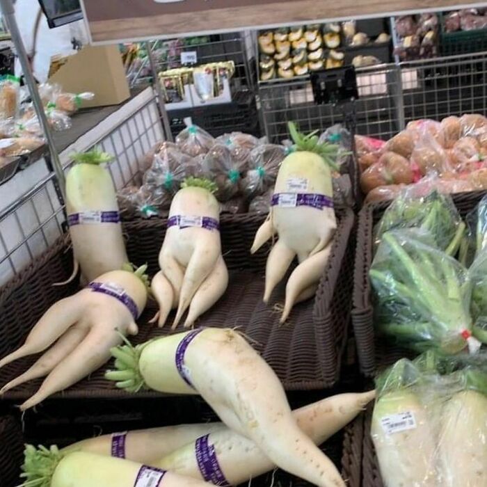 "I Want To Leave" Is Pretty Much The Weirdest Instagram Account, And Here Are 50 Pictures To Prove It