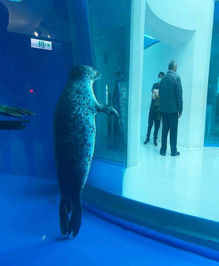 "I Want To Leave" Is Pretty Much The Weirdest Instagram Account, And Here Are 50 Pictures To Prove It
