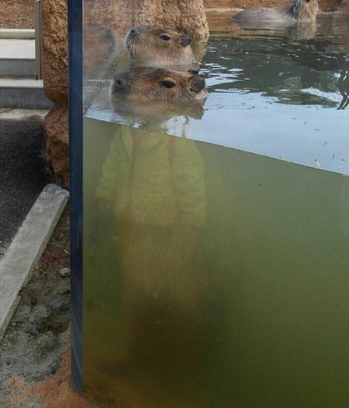 "I Want To Leave" Is Pretty Much The Weirdest Instagram Account, And Here Are 50 Pictures To Prove It