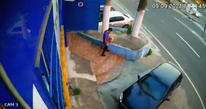 Este papá perro esperó fuera de la clínica veterinaria mientras la madre daba a luz a 6 cachorros