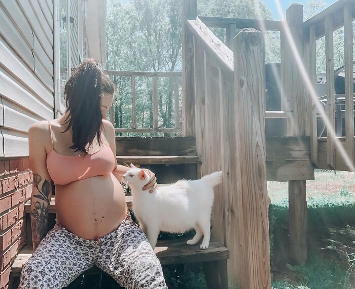 Esta mujer embarazada encontró una gata también preñada y la acogió, y al final dieron a luz al mismo tiempo