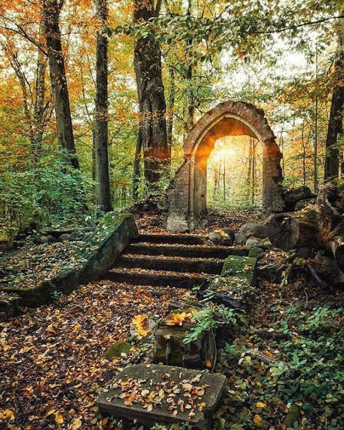 Un lugar perfecto para los pensamientos pacíficos y la meditación