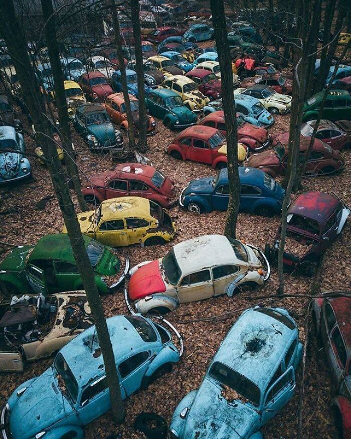 Cementerio de Volkswagen