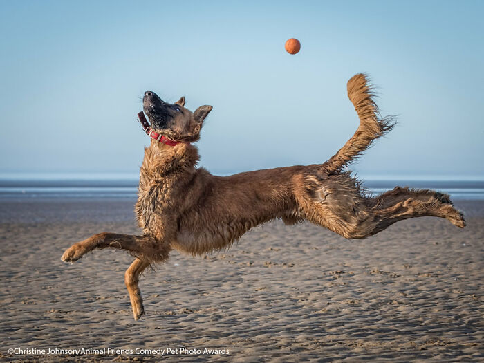 Boing por Christine Johnson