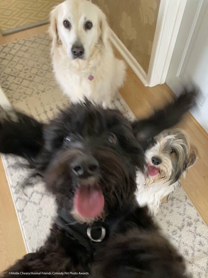 Photobomb por Mollie Cheary