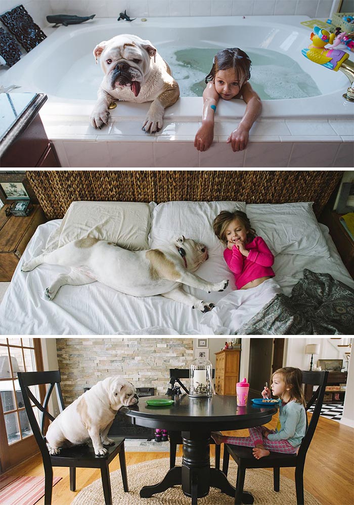 La conmovedora amistad de una niña y su bulldog inglés