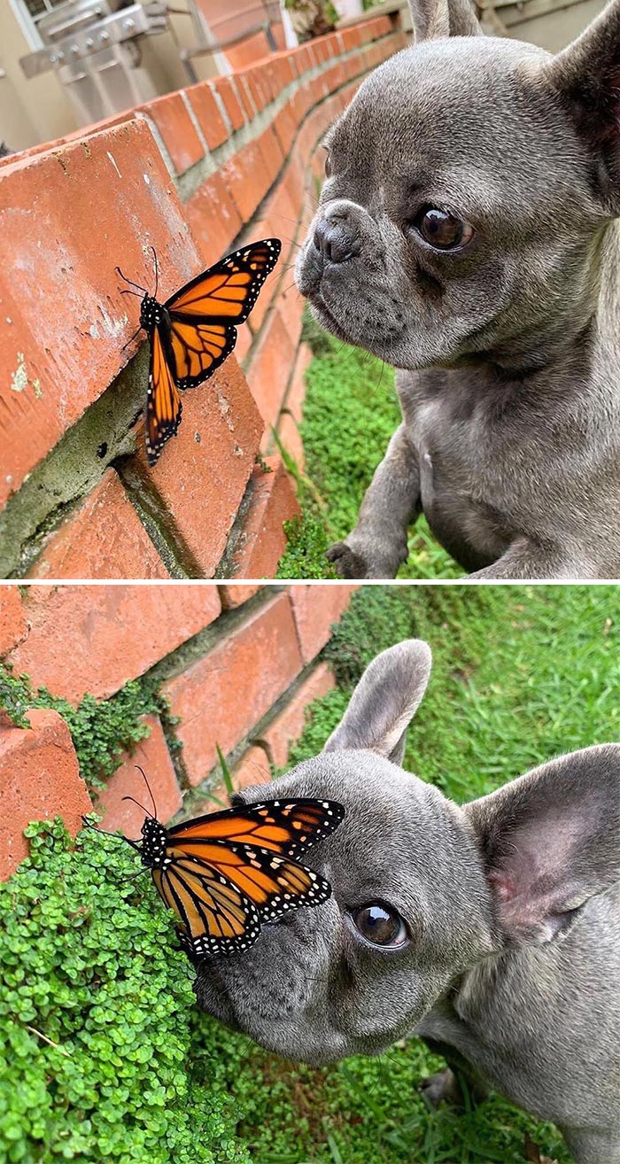Mi pequeño amigo no se la comió